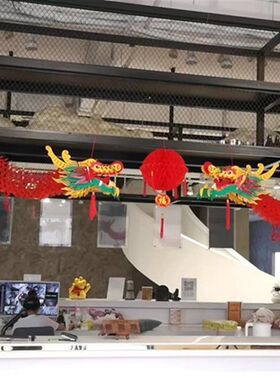 新年元旦龙灯笼装饰品 超市商场塑胶布龙形灯笼吉祥物龙春节 挂饰