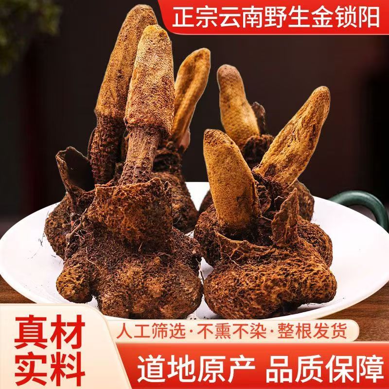 正宗云南山野金锁阳精选货整根男性滋补泡酒料肉苁蓉搭配煮水煲粥