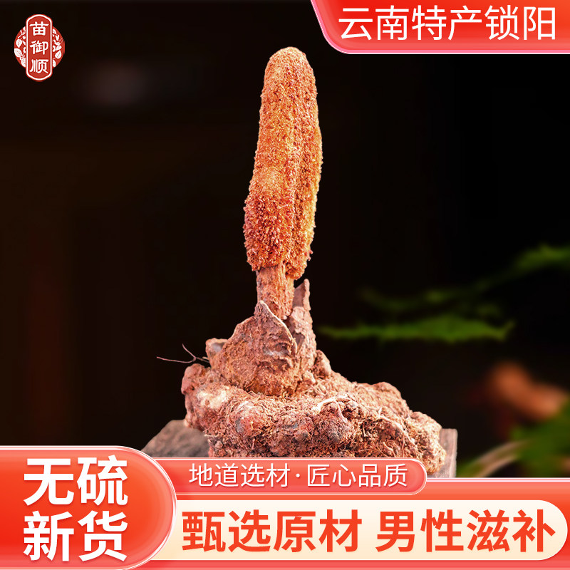 正宗云南山野金锁阳精选货整根男性滋补泡酒料肉苁蓉搭配煮水煲粥