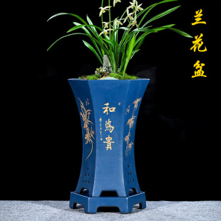 紫砂花盆兰花盆陶瓷盆景盆带底座君子兰盆六方束腰家用兰草专用盆