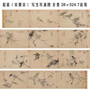 赵佶(宋徽宗) 写生珍禽图 全卷 28×524.7 国画画心装饰画 高清