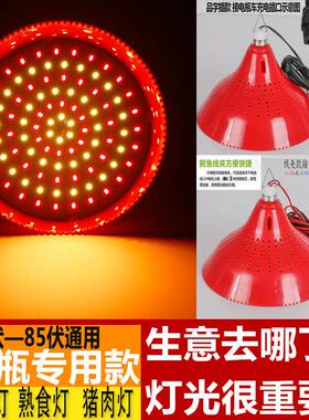 12V LED灯泡48v夜市电动车摆地摊24v60v生鲜水果猪肉熟食卤菜灯泡