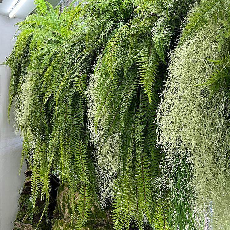 仿真波斯厥叶藤条墙上壁挂吊篮垂吊植物蕨类森系简约绿植挂藤装饰,家居饰品,仿真花/假花,淘宝优惠券,粉丝福利购,淘宝优惠卷