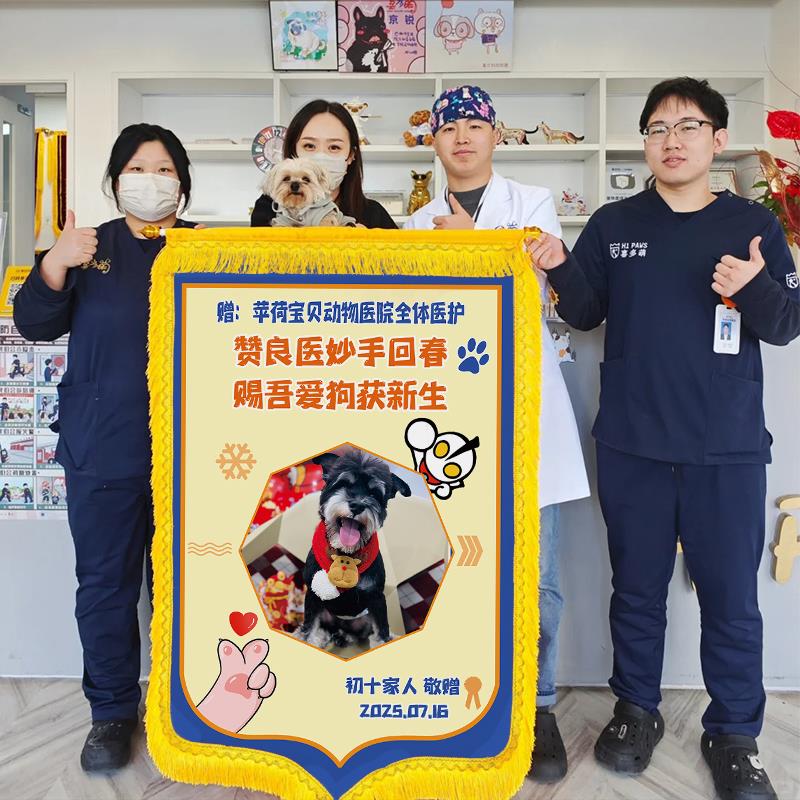 锦旗定制感谢宠物医生护士人员送爱宠医院彩色旌旗用品加照片高档