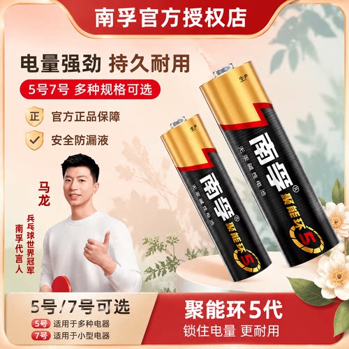 南孚碱性1.5V电池12节