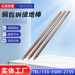 铜包钢接地棒镀铜圆钢防雷铜覆钢室外接地棒工程避雷垂直接地棒