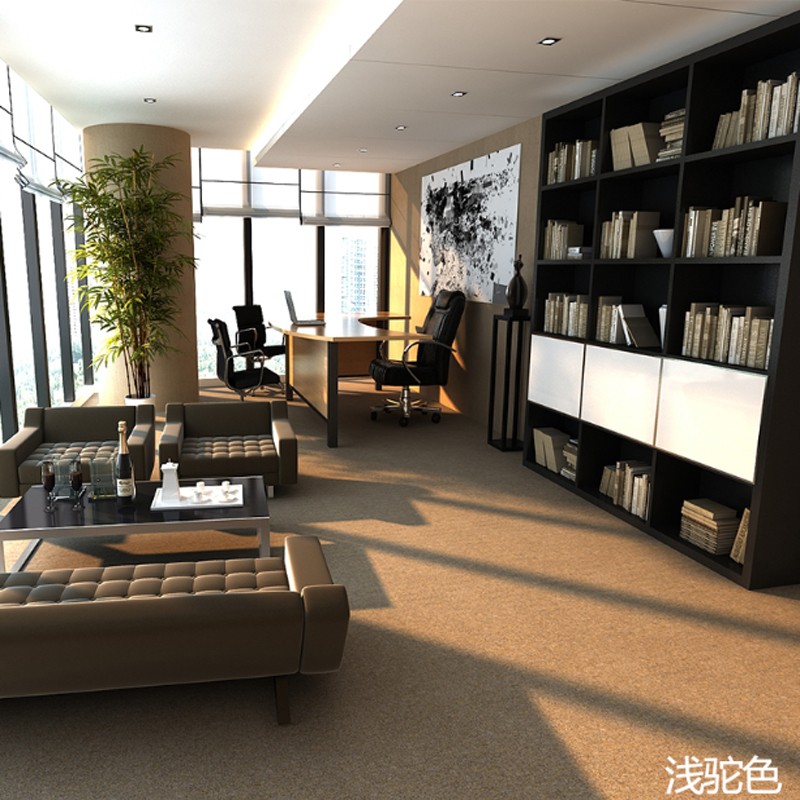 办公室地毯大面积商用满铺纯色整卷台球舞蹈卧室客厅家用全铺地垫