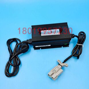 24V8L车充电器T30充电机A Z8P搬运车W比亚迪托盘0CBYD240电动叉车