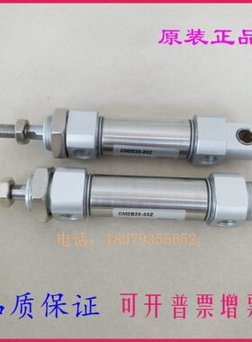 12迷你 2CD全新摆尾  250M2E -5 原装10CM气缸Z不锈钢502575E