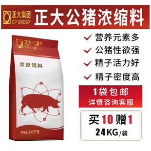 正大种公猪浓缩料 种猪料 公猪浓缩料