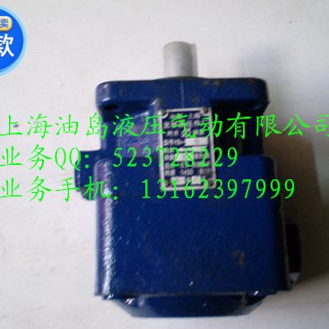 --BBY501油泵- Y32B油泵片1叶片泵叶 1 Y40