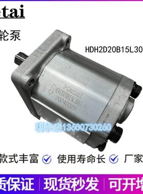 25/ BDA2300KET15/BDHBD2AIH1DH28B齿轮泵DD3HBB-HB22L20// A218