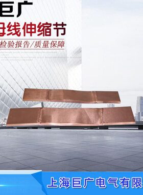 母x150 紫铜20X112 120铜排* 12*2mmM 线铜软连接0伸缩节  ST120