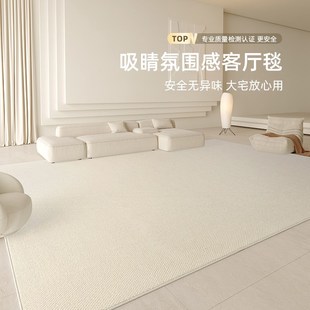 免洗可擦奶油风轻奢高级防水硅藻丝沙发卧室地垫 地毯客厅2024新款