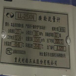 32椭圆齿轮流量计流量表 25B油表计量表LC11 25XN腰轮流量计LL