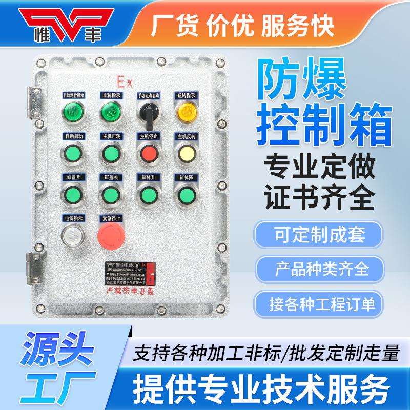 惟丰防爆箱接线箱配电箱操作柱两指示灯IP66铸铝按钮盒开关控制箱
