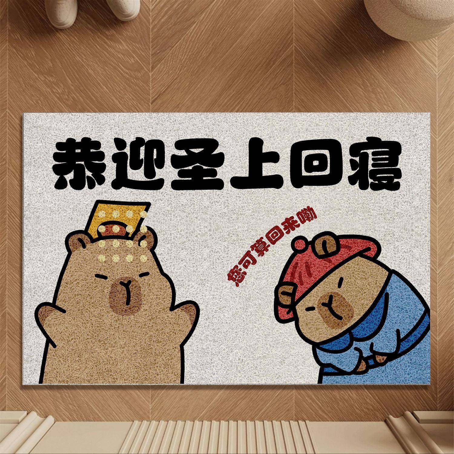 丝圈入户门地垫家用进门门口脚垫防水耐磨门外地毯创意搞笑垫子