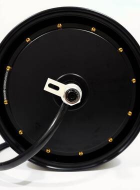 熊猫电机12寸1500w2000w5代3000w4000W5000W磁钢瓦片宽钢圈光板