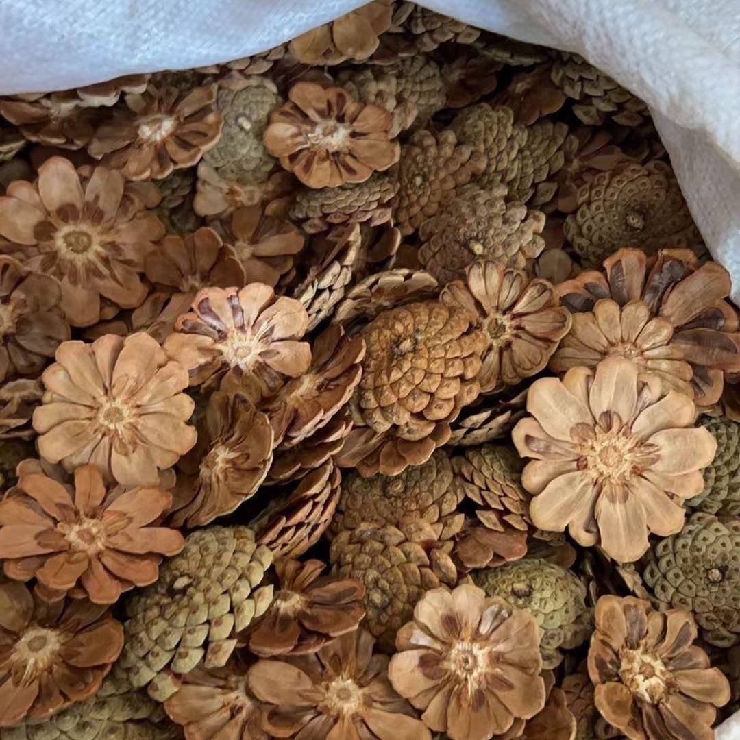已剪好松果花干松球花瓣节日Zakka装饰品幼儿园手工环创材料DIY