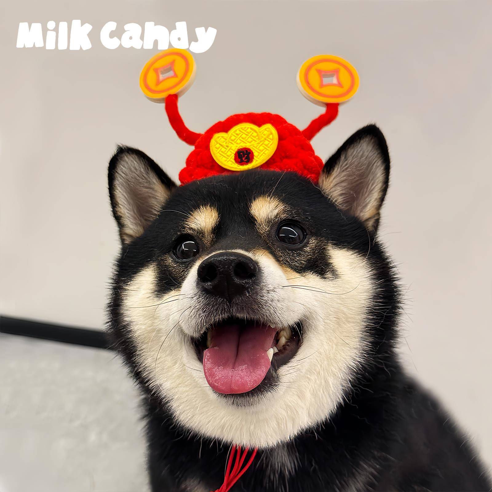 狗狗财神帽子宠物搞怪头套猫咪可爱头饰柴犬拍照配饰小狗搞笑装扮