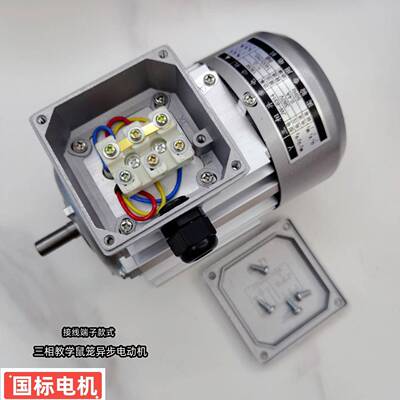 三相鼠笼异步电动机电机 JW6314 380V变频器用接线端子款教学电机