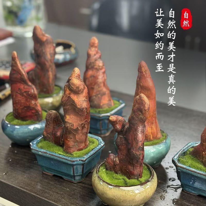 香木盆栽室内可生长微景观送礼檀香驱蚊办公室盆景招财天然香木