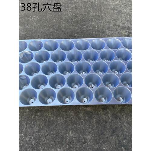 48/54/60/70孔苗塞托盘营养碗苗碗。西瓜幼苗辣椒玉米蔬菜烟草