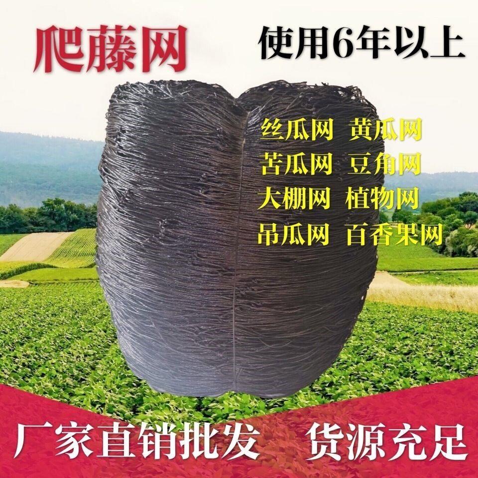 爬藤网百香果搭架专用网 瓜果植物爬藤网 黄瓜苦瓜大棚种植网拉丝