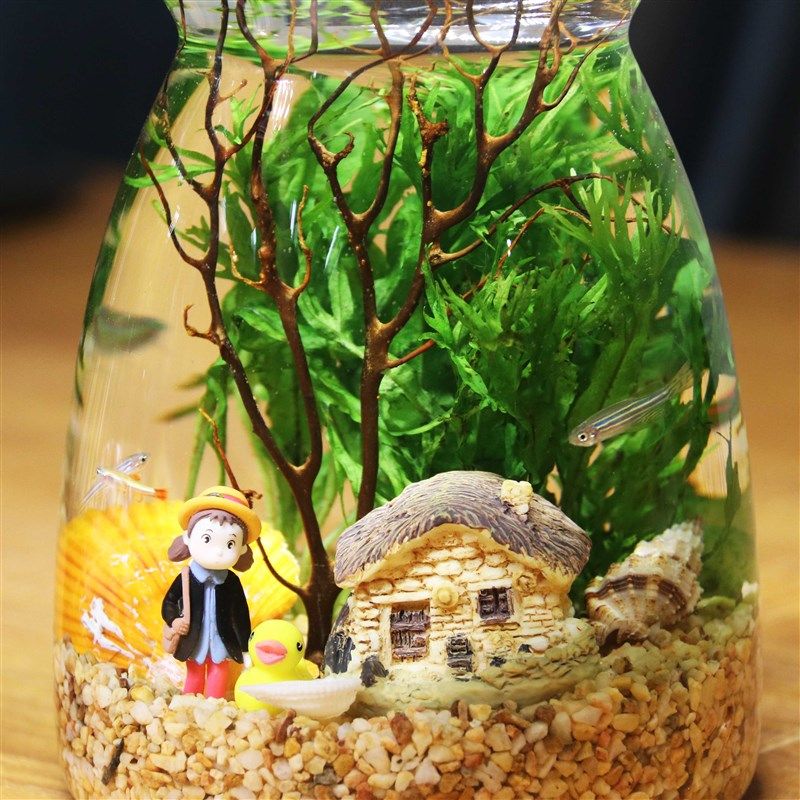 创意生态鱼缸超白造景懒人微景观DIY室内客厅迷你生态瓶免换水