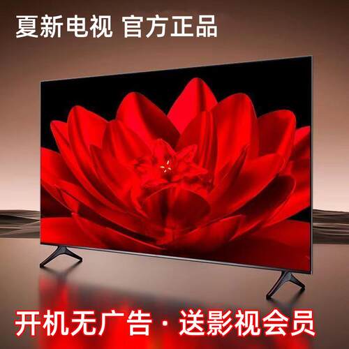 Amoi/夏新 55寸电视机液晶4K高清智能网络家用40/43/50/60/65英寸
