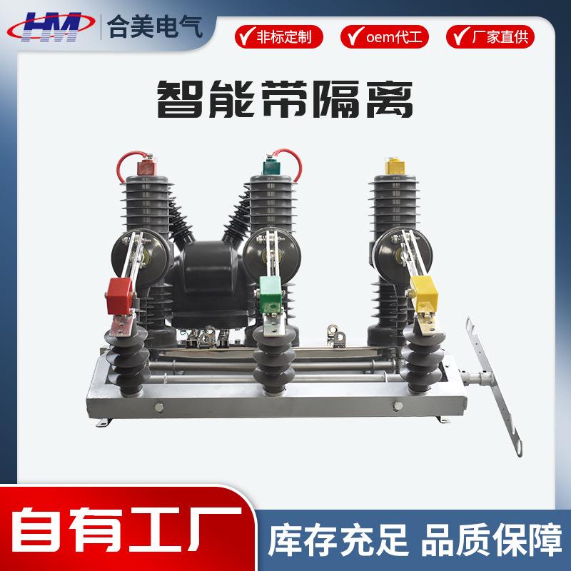 户外10KV高压真空断路器智能看门狗带隔离手动柱上开关