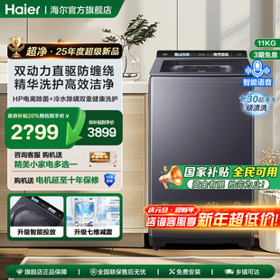 海尔双动力防缠绕波轮洗衣机10公斤直驱变频家用全自动 云溪4.0