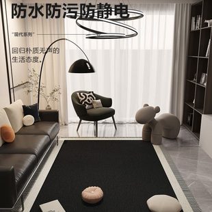 房间卧室床边轻奢高级感沙发地垫家用 免洗可擦地毯客厅2023新款