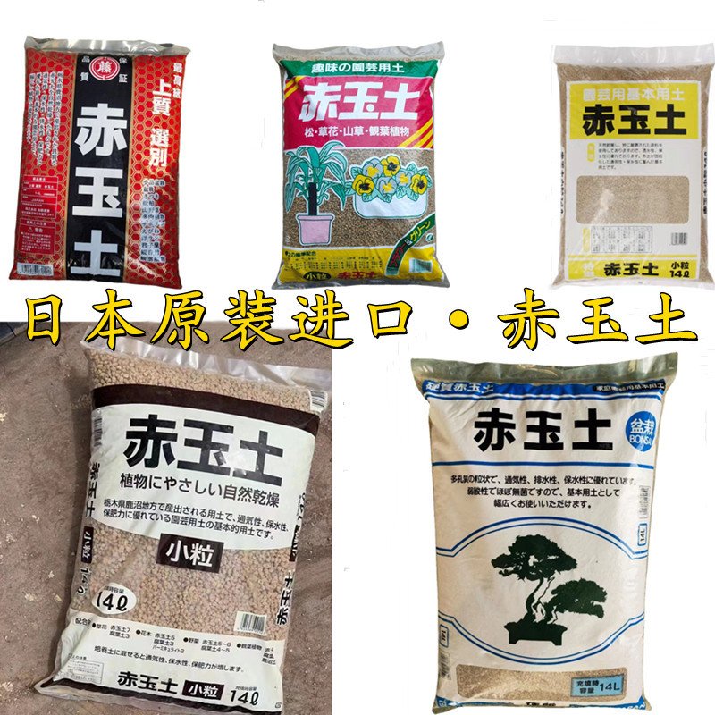 赤玉土多肉土兰花土盆景用土硬质赤玉土