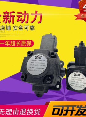 QCIST秦川奇思特VVP40D/70叶片泵VVP15B/55油泵VVP30D/35 20D/70