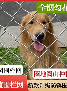 养殖围栏网镀锌钢丝网养羊防锈铁丝网围栏养狗养鸡钢丝网围栏