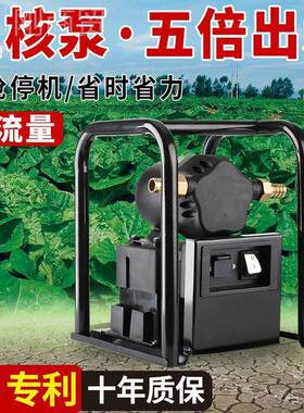 功率溉充电浇菜水泵32099户外农高用灌抽水机12V压水泵大流大量抽