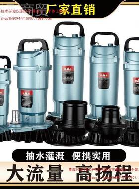 上海人民款潜抽水泵小型2全铜20v家用扬程农MDP高田灌溉大流量水