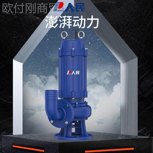 2195人民电器Q8国标法兰污水泵工地化池潜W水排污泵粪30V2/4/6寸