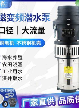新款三轻便程型潜水泵相节能型高扬海水养殖大口IWY径抽器水灌溉
