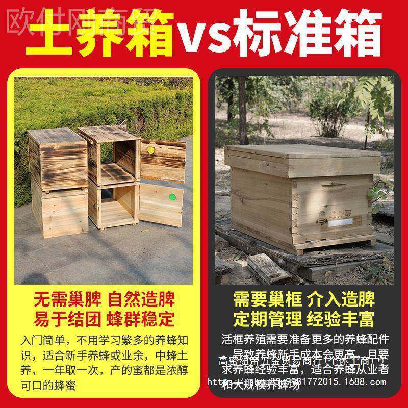 新款双开门箱全木烘干蜂蜜蜂箱全套中蜂箱68484土养子诱蜂箱密峰