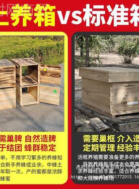 新款双开门箱全木烘干蜂蜜蜂箱全套中蜂箱68484土养子诱蜂箱密峰