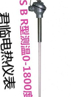 WR温16P0铂高度型/铑-0热电偶进口热电偶温度传感器-13刚玉管S00