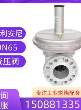 N65安烧天然气工业阀减压阀燃气专用1配件稳压尼径利口65B朱D燃ST