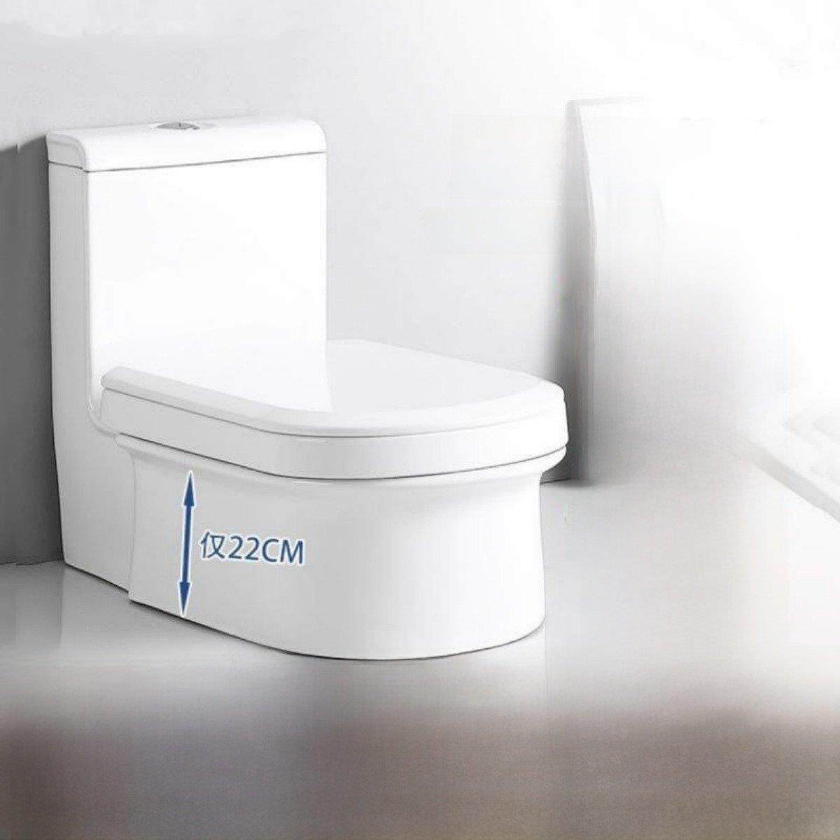 蹲坐两用坐便器蹲坐两用坐便器墙排后座两用坐便器