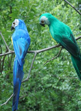 仿真羽毛小鸟手工鹦鹉假鸟田园家居摆件庭院花园装饰道具创意造景