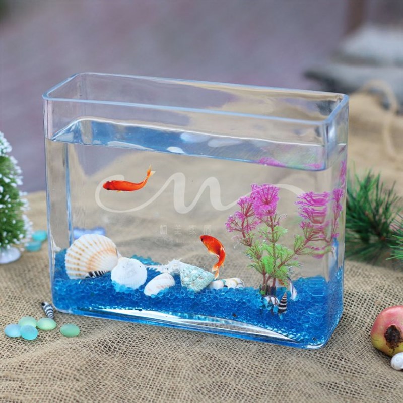 透明玻璃金鱼缸长方形玻璃鱼缸生态鱼缸迷你鱼缸水族箱小金鱼缸