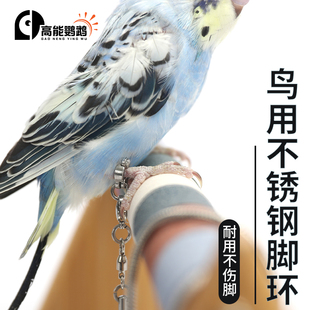 鹦鹉不锈钢脚链脚环免费刻字玄凤鹦鹉专用脚环活扣不伤脚放飞链子
