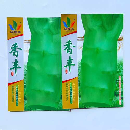 香丰莴苣青菜种子春秋园艺种植