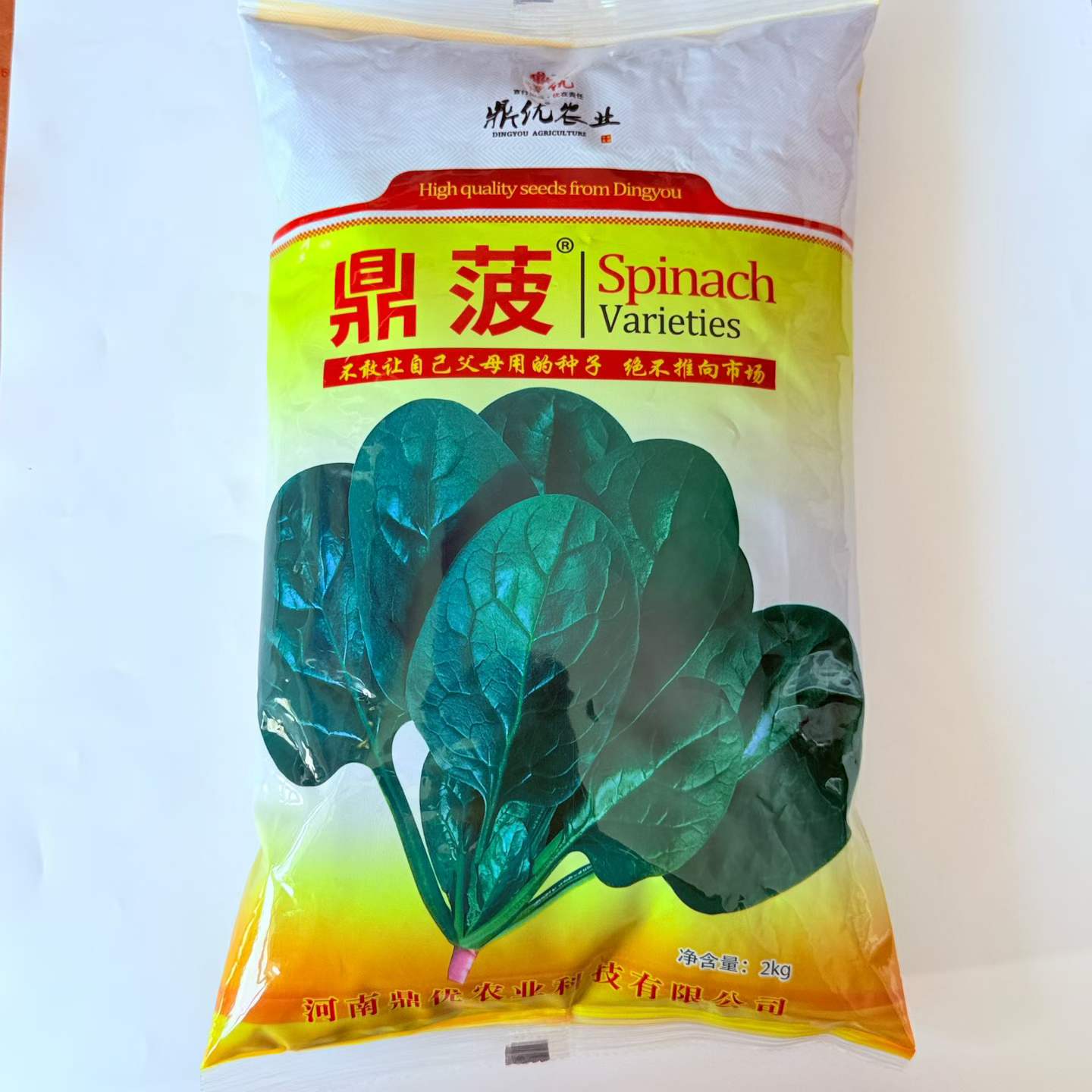 鼎波四季高产菠菜种子